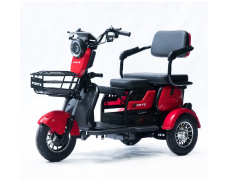 Электротрицикл FORTE FAMILY-P600