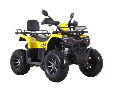 Квадроцикл SPARK SP200-10Е