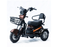 Электротрицикл FORTE S1-P600