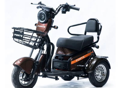 Електротрицикл FORTE S1-P600