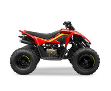 Квадроцикл CFMOTO CFORCE 110