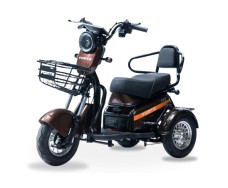 Электротрицикл FORTE S1-WS600