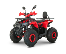 Квадроцикл FORTE AFN125 PRO
