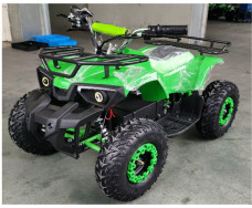 Электроквадроцикл FORTE ATV1000RB