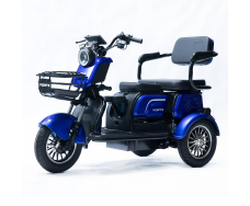 Электротрицикл FORTE FAMILY-WS1000