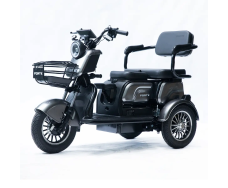 Электротрицикл FORTE FAMILY-P1000