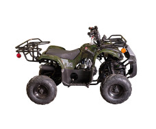 Квадроцикл SPARK SP110-3