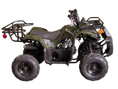 Квадроцикл SPARK SP110-3