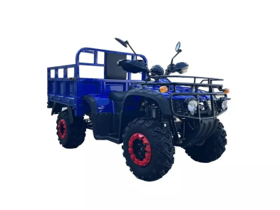 Квадроцикл FORTE ATV 300BS-T