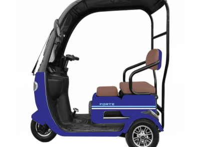 Електротрицикл FORTE TRINE-WS800