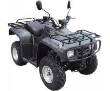 Квадроцикл FORTE ATV 250 BS