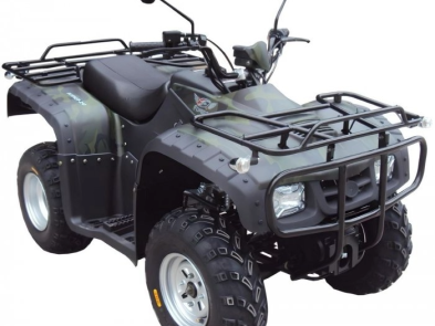 Квадроцикл FORTE ATV 250 BS
