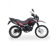 SHINERAY XY250GY-6C LIGHT