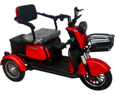 Электротрицикл FORTE FAMILY MAX