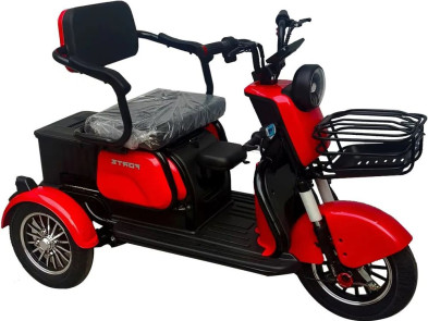 Електротрицикл FORTE FAMILY MAX