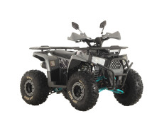 Квадроцикл SPARK SP150-5