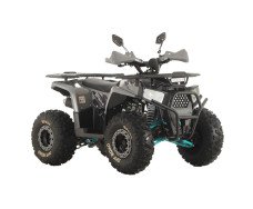 Квадроцикл SPARK SP150-5