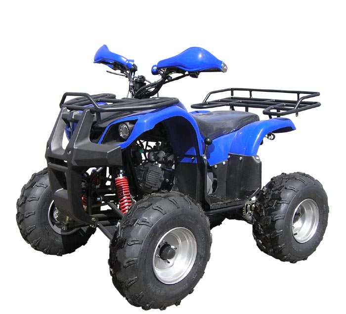 SkyMoto Panda 110 (2x4) - синий