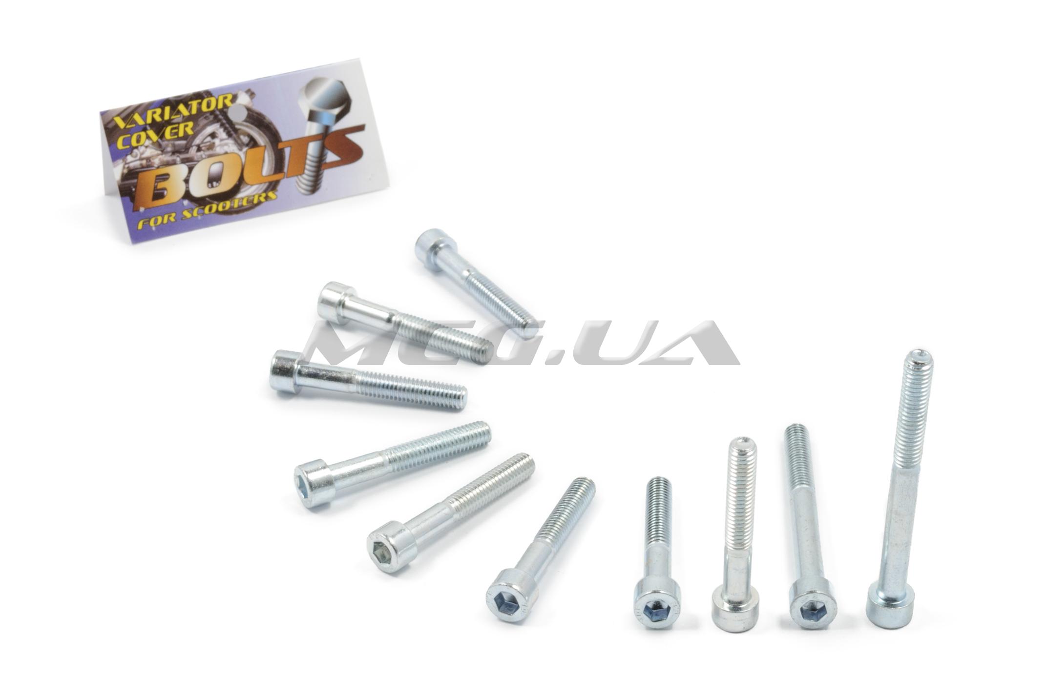 Болты крышки вариатора 4T GY6 150 (шестигранный шлиц, 10шт) 