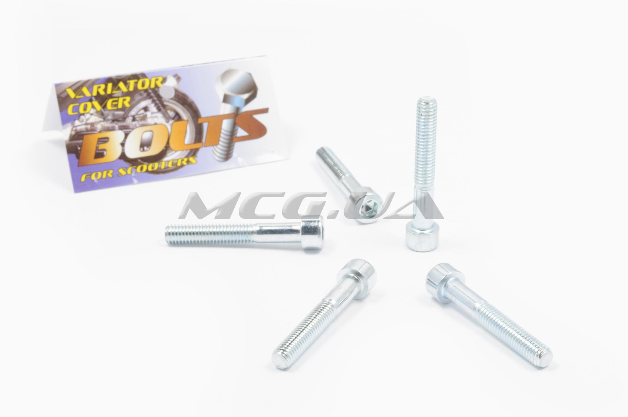 Болты крышки вариатора Honda TACT 16/24/30 (шестигранный шлиц, 5шт) 