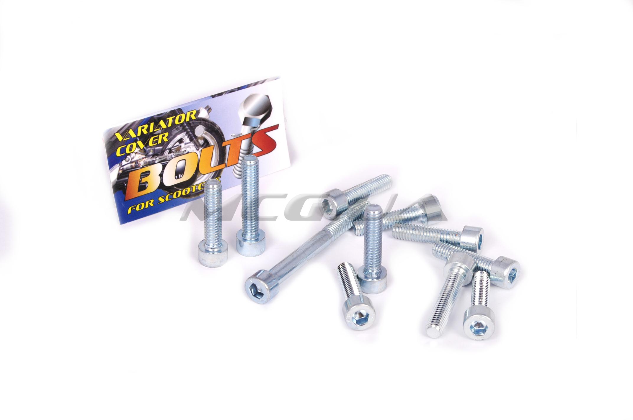 Болты крышки вариатора Yamaha (шестигранный шлиц, 11шт) 