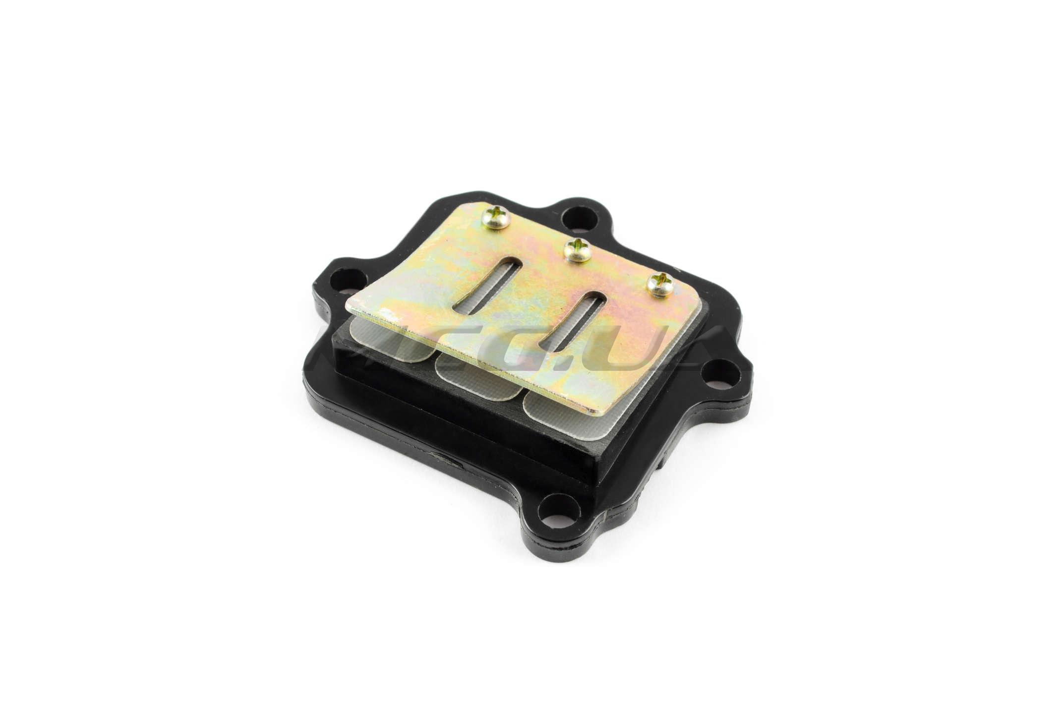 Лепестковый клапан 2T Stels 50 (1E40QMB)