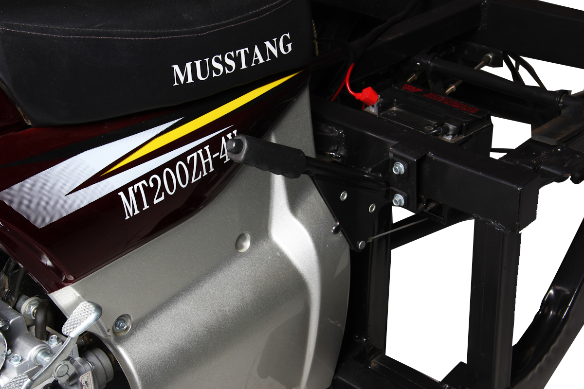 Характеристики Musstang MT250-4V