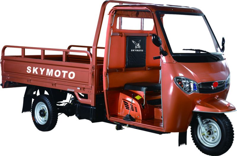 SkyMoto HERCULES 200-J3