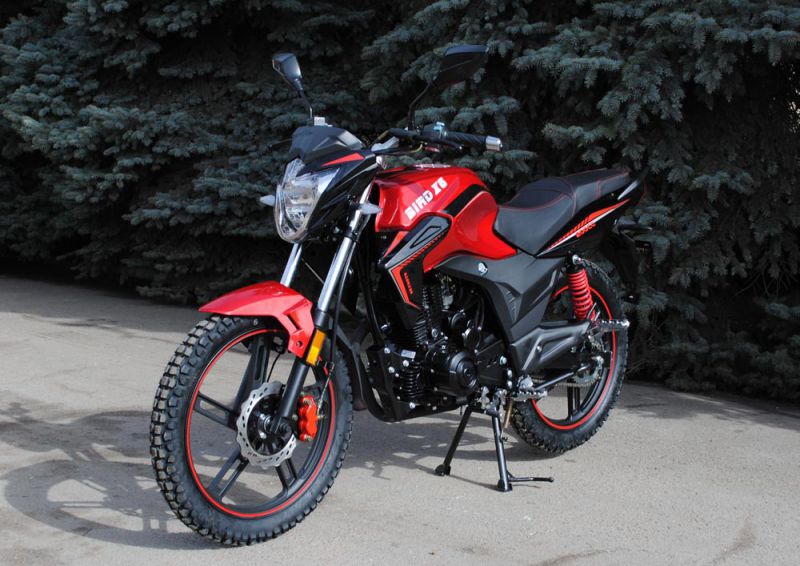 Характеристики SkyMoto BIRD Х6 200