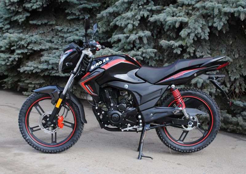 Характеристики SkyMoto BIRD Х6 150