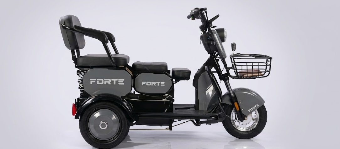 Електротрицикл FORTE FAMILY-WN1060