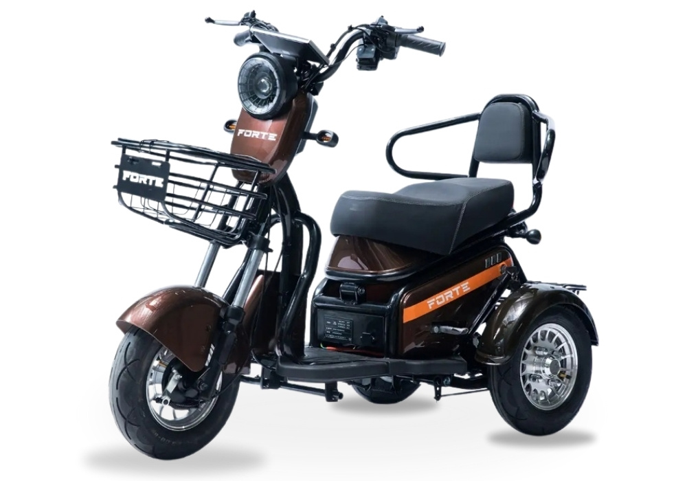 Электротрицикл FORTE S1-WS600