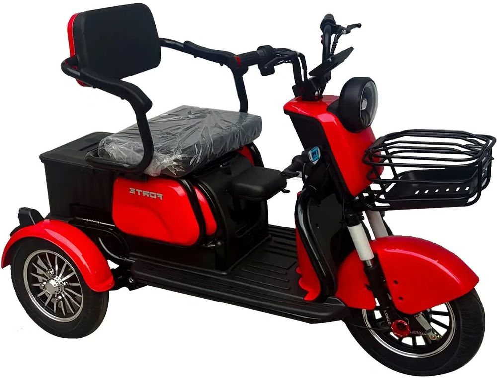 Электротрицикл FORTE FAMILY MAX
